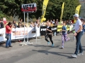 święto miodu Przemków 2016 (55)