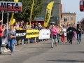 święto miodu Przemków 2016 (57)