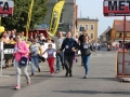 święto miodu Przemków 2016 (58)