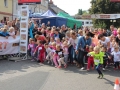 święto miodu Przemków 2016 (61)