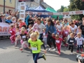 święto miodu Przemków 2016 (62)