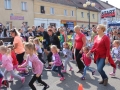 święto miodu Przemków 2016 (67)