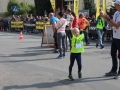 święto miodu Przemków 2016 (69)
