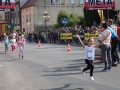 święto miodu Przemków 2016 (70)