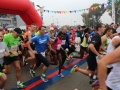 Bieg Barbókowy 2016 Lubin (51)