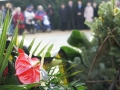 dzień górnika pomnik J.Wyżykowskiego (40)