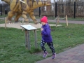78 parkrun 045