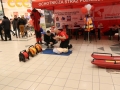 dkms 036