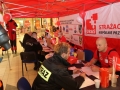 dkms 040