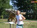 110 parkrun 028