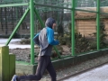82 parkrun 030