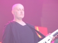 gala disco Lubin (54)