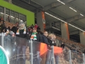 Zagłebie Lubin vs. Arka Gdynia (4)