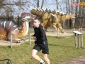 91 parkrun 035