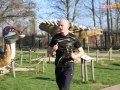 94 parrun 033