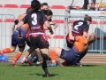 rugby7 033