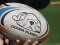 rugby7 132