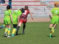 rugby7 142