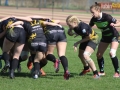 rugby7 232