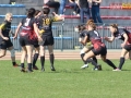 rugby7 264