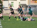 rugby7 292