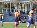 rugby7 344