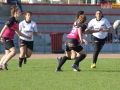 rugby7 391