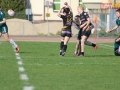 rugby7 404