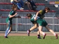 rugby7 412