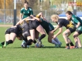 rugby7 419