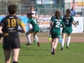 rugby7 435