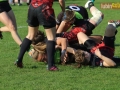 rugby7 456