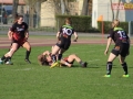 rugby7 462