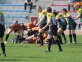 miedziowi wataha 003