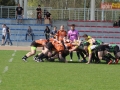 miedziowi wataha 010