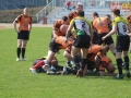 miedziowi wataha 014