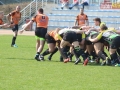 miedziowi wataha 017