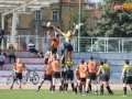 miedziowi wataha 025
