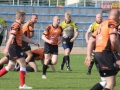 miedziowi wataha 027