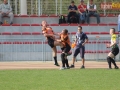 miedziowi wataha 028