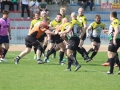 miedziowi wataha 030