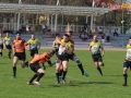 miedziowi wataha 038
