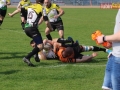 miedziowi wataha 039