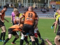 miedziowi wataha 040