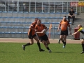 miedziowi wataha 052