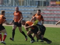 miedziowi wataha 054