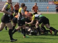 miedziowi wataha 058