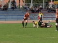 miedziowi wataha 066