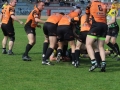 miedziowi wataha 071