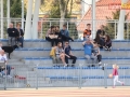 miedziowi wataha 074